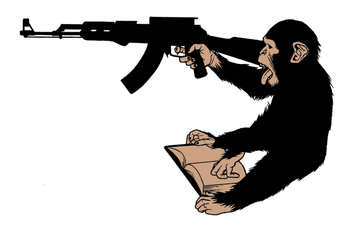 monkey-gun