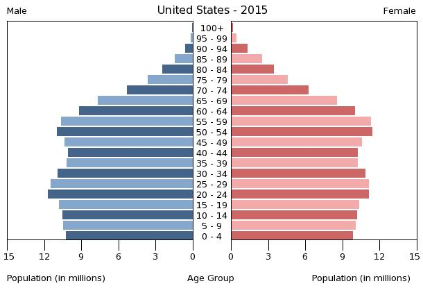 Половозростная структура населения США 2015