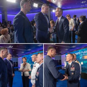 Братья Кличко на саммите НАТО, 2022